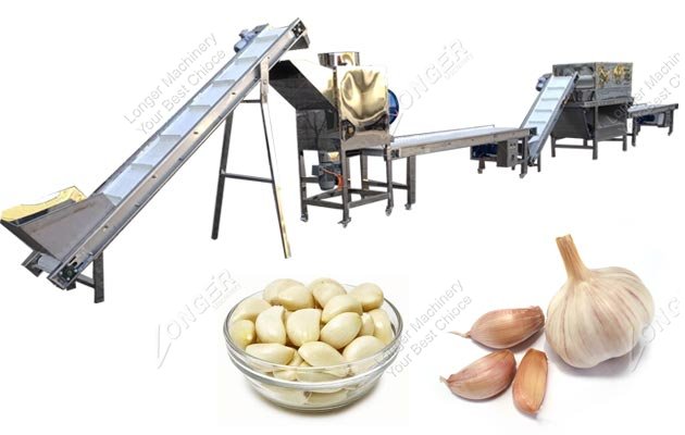 Industrial Garlic Breaking Peeling Machine Processing Line Supplier