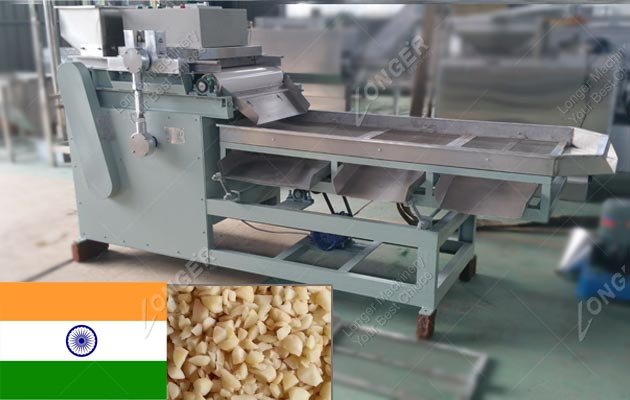 Automatic Cashew Nut Cutting Machine India