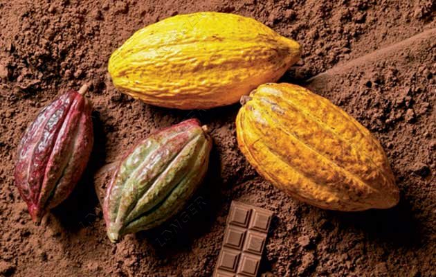 What is the Production Process of Cocoa Powder?