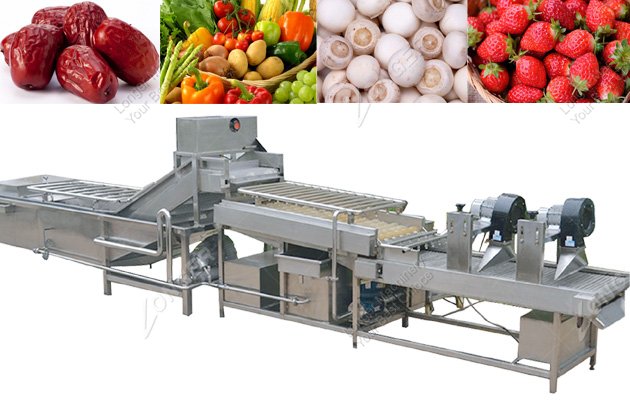 Fruit and Vegetable Washing Drying Line
