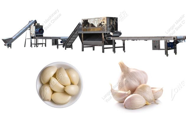 Industrial Garlic Processing Line