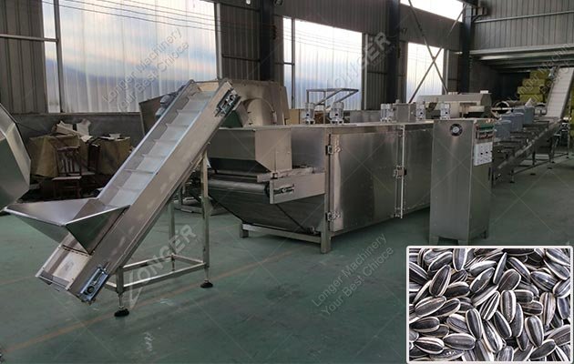 Continuous Sunflower Seed Roasting Machine in China