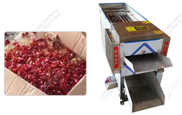 Automatic Pepper Seed Removing Separating Machine