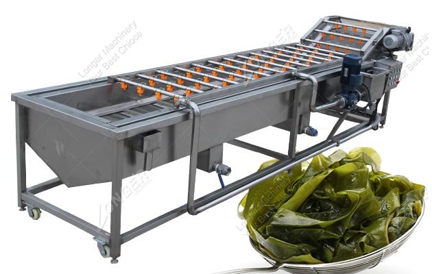 Automatic Seaweed Kelp Bubble Washing and Dryer Machine