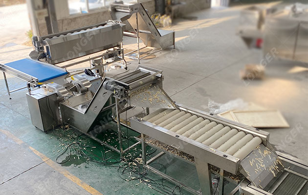 Potato Washing Peeling Machine