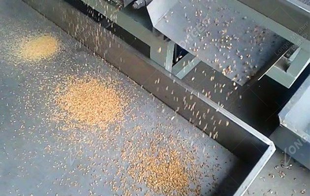 Small scale nut chopping machine –