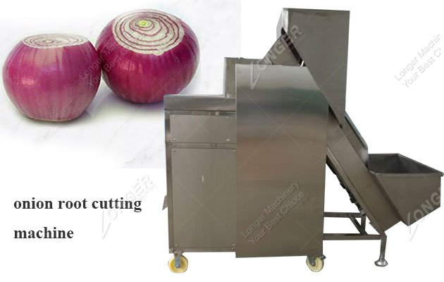 Automatic Onion Processing Line for Root Cutting and Peeling
