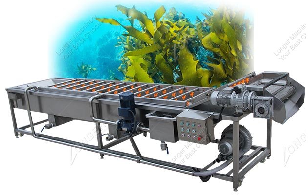 Automatic Seaweed Bubble Washing Machine